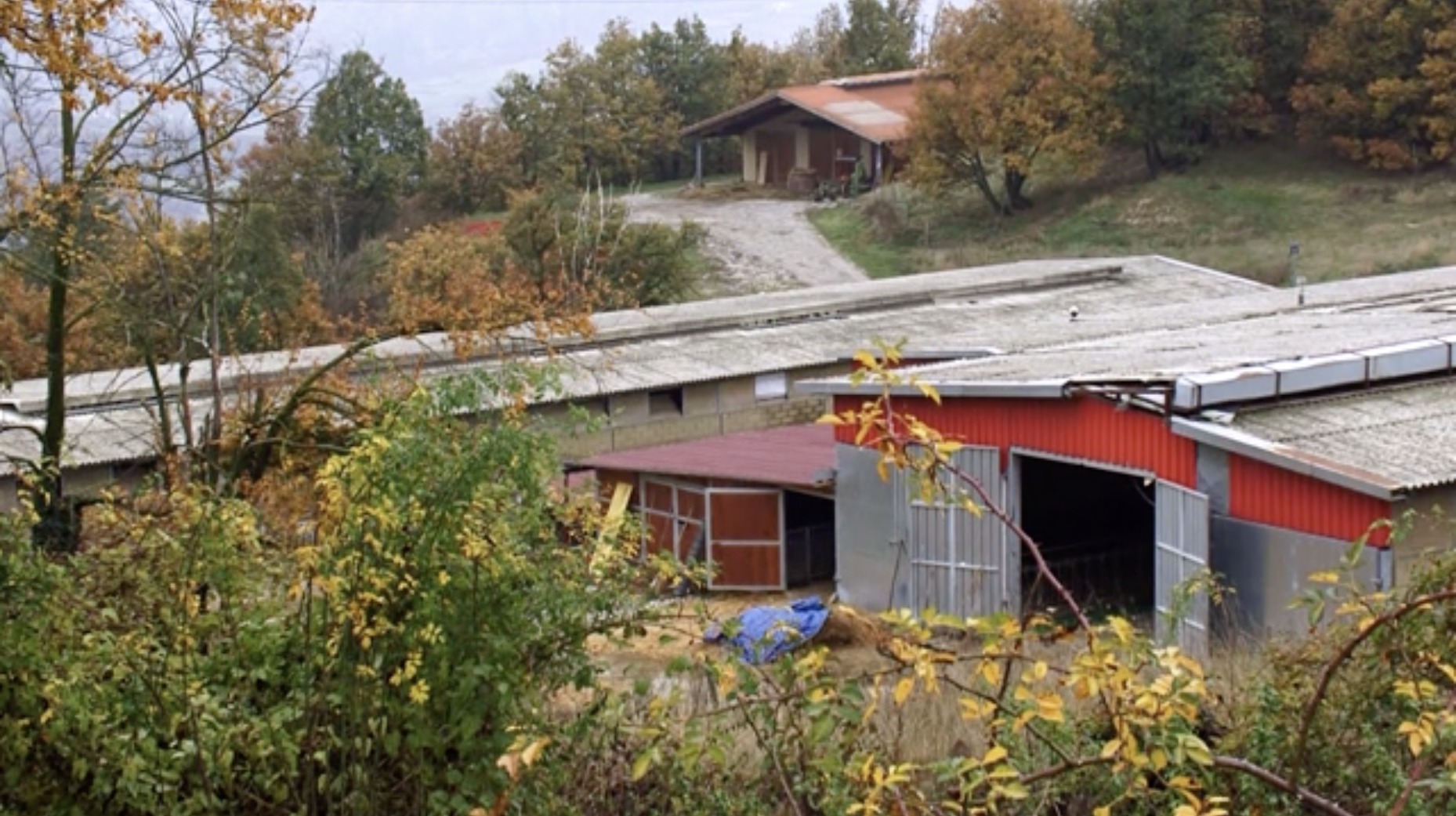Azienda Agraria Didattico